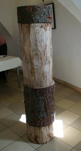 © Pucher/ Der Baumstamm zeigt Holznutzung plakativ auf: Von oben beginnend 10 % ist der Zuwachs, 43 % werden für Möbel verwendet, 32% f.Biomasse, 15% f.Papiererzeugung