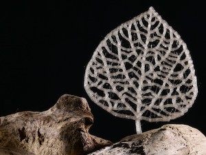 ©  Alain Herzog (EPFL) / Ein 3D-gedrucktes „Blatt“ aus dem neuen Biokunststoff.