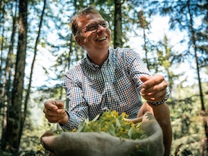 © ÖBf/Roast Media/ Axel Kiesbye bei der Ernte der Lindenblüten