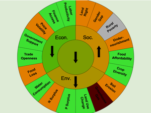 © IIASA /Die Sustainable Agricultural Matrix (SAM) definiert die drei Bereiche Umwelt, Wirtschaft und Soziales, um nachhaltige Landwirtschaft zu berechnen.