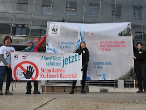 © WWF  Anton Vorauer / Protestaktion am Landhausplatz in Innsbruck