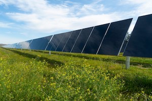 © First Solar / PV-Module von First Solar liefern den Strom für GM