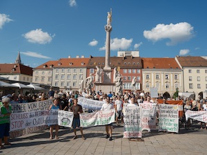 © VSO / Unzählige Menschen, jung und alt, versammelten sich am Hauptplatz von Wiener Neustadt