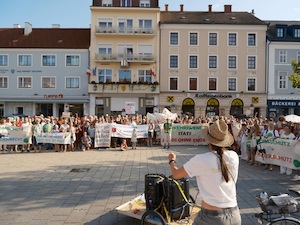 © VSO/Mehr als 500 Personen kamen zur Demo in Wiener Neustadt