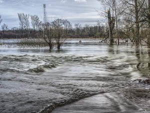 © distelAPPArath picabay.com / Hochwasser