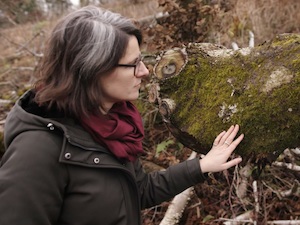 © VOCC / Maria Neumüller sieht die Auswirkungen des Klimawandels im Wald