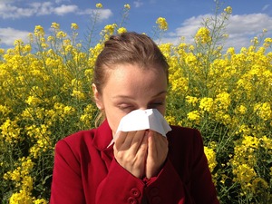 © cenczi - Corina pixabay.com/ Allergien belasten den Körper